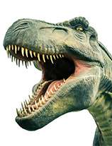 Dinosaurs