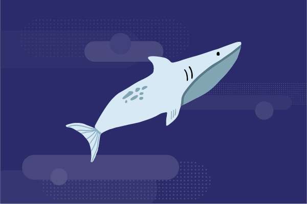 Oceans Teacher Resources
